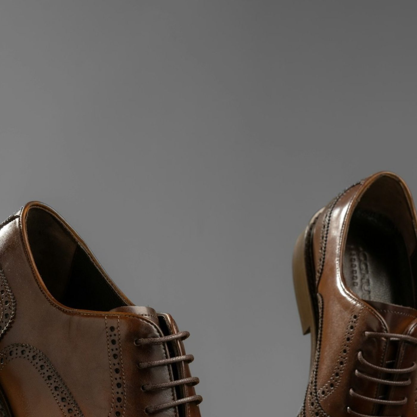 Wingtip Treviso