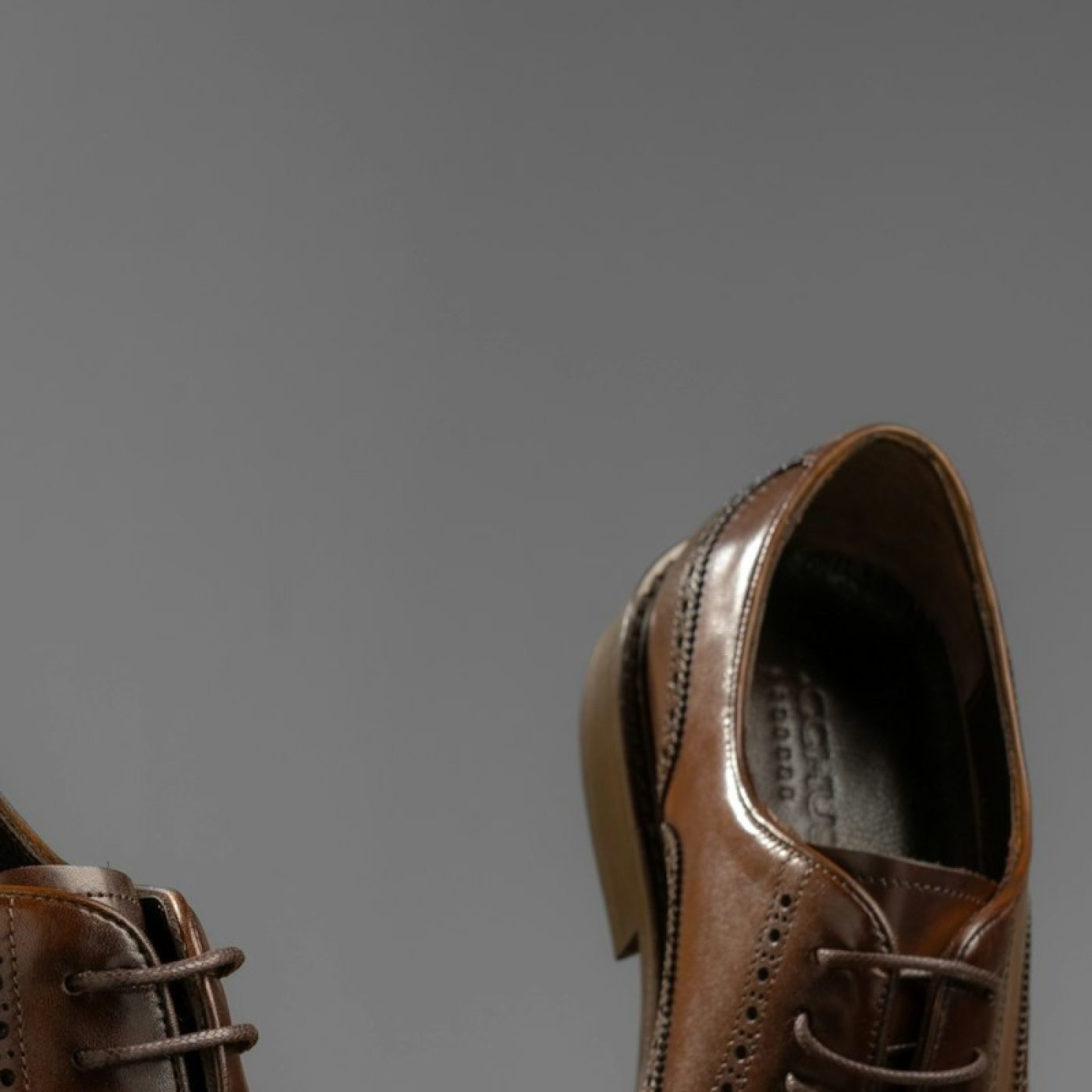 Wingtip Treviso