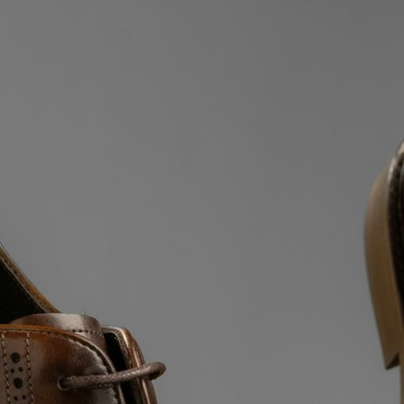 Wingtip Treviso